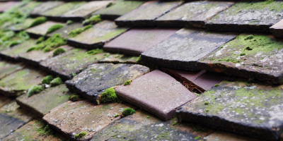 Farnham Common roof repair costs